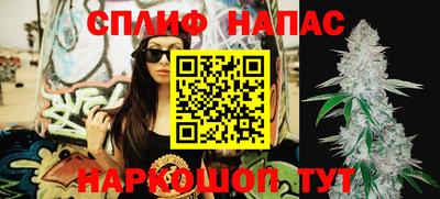 дживик Ирбит