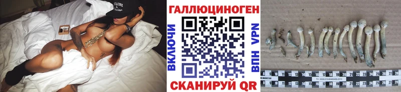 Галлюциногенные грибы GOLDEN TEACHER  как найти   OMG ссылка  Россошь 
