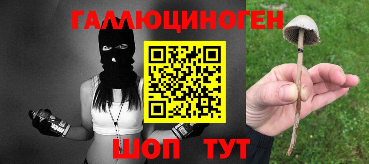 Псилоцибиновые грибы ЛСД  Россошь 